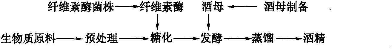 三、酒精发酵工艺